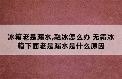 冰箱老是漏水,融冰怎么办 无霜冰箱下面老是漏水是什么原因